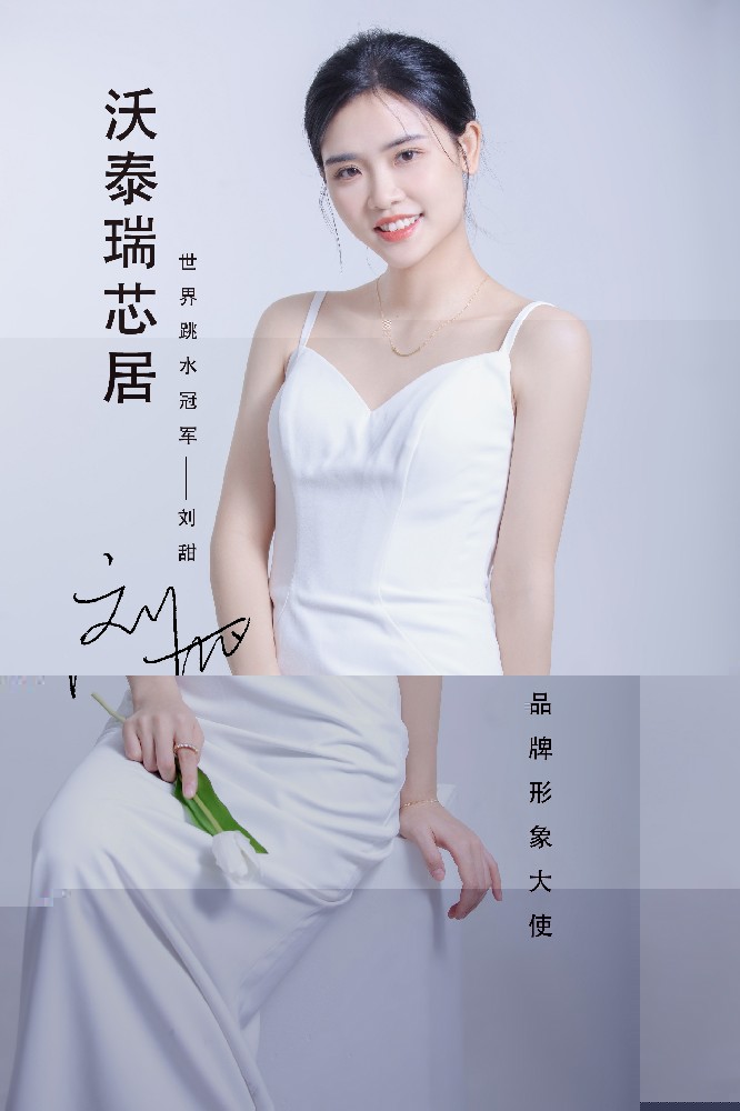 沃泰瑞芯居石膏闆